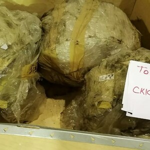 Тормоз стояночный B04-T049-0003 Bumar