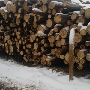 ПИ211442 Продажа ликвидной древесины смешанных пород 8 330,00 куб. м.