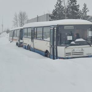 Лом черных металлов  (ПИ505262)
