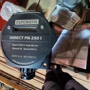 Расходомер eurosens Direct PN 250 I 100л