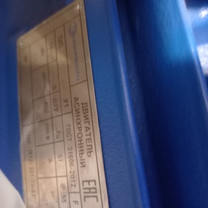 Электродвигатель А250M6У1 55/1000 IM1081