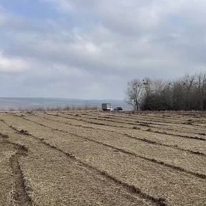 Мульчер гусеничный от 1 гектара