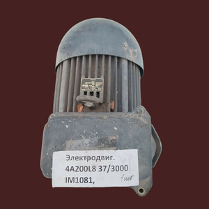 Электродвигатель 4А200L8 37/3000 IM1081