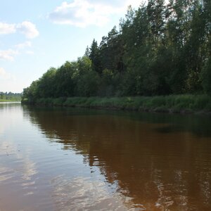 Бартер на участок 1-н га, меж дух рек Осуга и Пагубица.