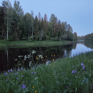 Бартер на участок ИЖС 1га., граничит с рекой Малая Коша.