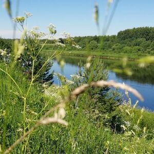 Бартер на участок ИЖС 1 га, граничит с рекой Тверца.
