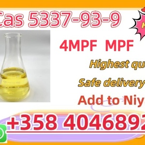 CAS 593-51-1 Methylamine hydrochloride Factory Supply High Purity 100% Safe Delivery