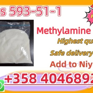 CAS 593-51-1 Methylamine hydrochloride Factory Supply High Purity 100% Safe Delivery