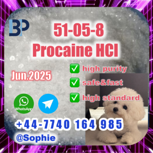 51-05-8 Procaine HCl raw materials