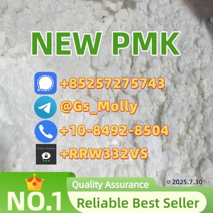 Hot Sale! P M K Powder CAS 28578-16-7 CAS 13605-48-6 | Fast Shipping