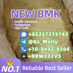 Premium B M K Glycidate Powder 5413-05-8 Reliable Supplier for Research
