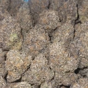 The Ultimate Guide to Choosing the Right Cannabis Strain for You