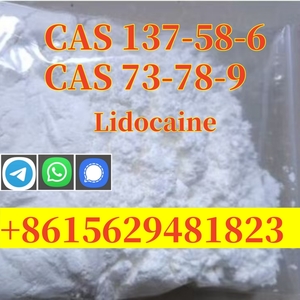 CAS 137-58-6 Lidocaine Factory Supplied High Purity Safe Delivery