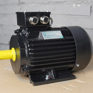 Электродвигатель ESQ RW 100 L2 3 квт 3000 об/мин
